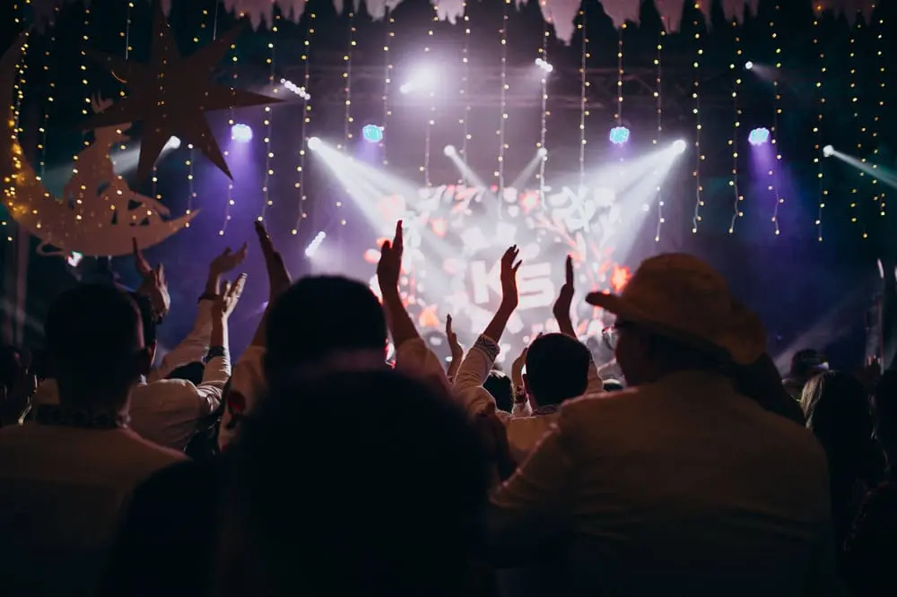 people-having-fun-wedding-hall (1)